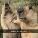 Cooking something Discord server icon