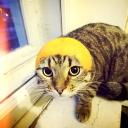 🍋Lemon’s Gaming Palace 18+🍋