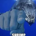 Shrimp Haven