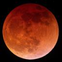 Moonlit Coven