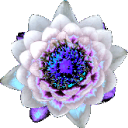 Wrath of the Gods Discord Server Icon