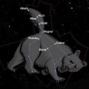 Cult of the Bear