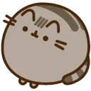 ✮⋆˙ Pusheen Heaven ˙⋆✮
