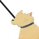 狗窩