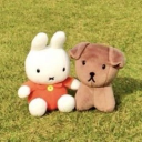 The blanket fort Discord server icon