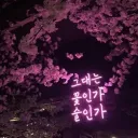 ꒰ঌ 𝒀𝒖𝒎𝒆𝒉𝒂𝒓𝒂 ໒꒱ 🌸