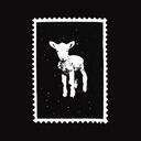 Little Lambs Discord Server Icon
