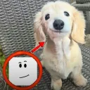 Puppy Girls | san
