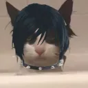Bleh