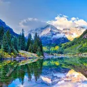 The Aspen Pretty Birds
