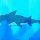 The Ocean Lounge