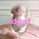 loacord