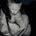 @fantasy Discord server icon