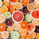 🍋Funky Little Citrus Systems🍊