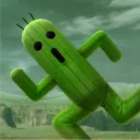 Cactus Patch