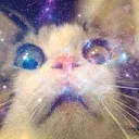Cats of the Cosmos