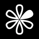 Twisted Flower