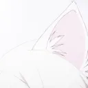 Shika's kittys  ≽^•⩊•^≼