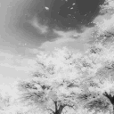 𝐍𝐚𝐧𝐚𝐤𝐚'𝐬 𝐋𝐨𝐮𝐧𝐠𝐞