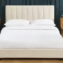 LE CLAN DES CHOMEURE Discord server icon