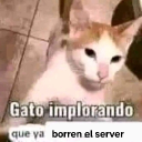 Discovery icon for Aña's INC® Discord server