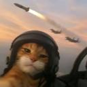CatLand ツ 🐱 avatar