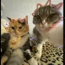 بيتنا ⌂ Discord server icon