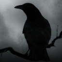 Calico Institutions ; Scientific Anomalies Discord server icon