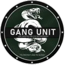 Gang İntelligence Unit