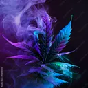Royal Kush Club