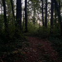 ˗ˏˋ✩ˎˊ˗The Void˗ˏˋ✩ˎˊ˗ Discord server icon