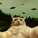 La Cudiad de Gato