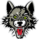 Chicago Wolves Discord server icon