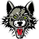 Chicago Wolves