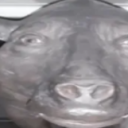 Peruna Armeija Discord server icon