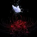 higanbana • red spider lily | GUILD