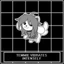 tHE  TEMMI SERVER :3