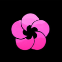 매화만리향 : 梅花萬里香