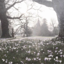 Offline&amp;#039;s Den Server Icon