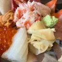 ノモセシティ