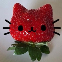 🍓 𝜗𝜚 strawberry POPO Discord server icon