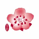 China Airlines || 中华航空