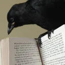 Crow Corner