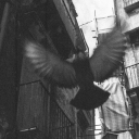 Sometimes Discord server icon