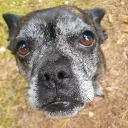 P3s server Discord server icon