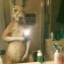 Rewards | Darg Rewards's icon