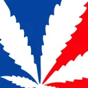 American Autoflower Cup