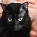 mandojosh#90's server Discord server icon