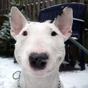 .gg/comebacktime Discord server icon