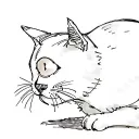 Cat Cove